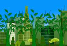 Sostenibilità: elementi ed esempi di progettazione edile consapevole sostenibilità