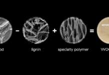 Edifici ecologici: c’è il legno potenziato nel nostro futuro legno