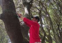 IoT: da Vodafone Business i sensori per prevenire gli incendi IoT Vodafone Business