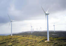 Minsait protegge gli uccelli nei parchi eolici grazie all’intelligenza artificiale turbine eoliche-unsplash