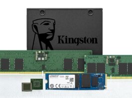 kingston