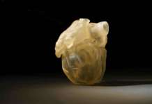 Stratasys J750 Digital Anatomy, realismo per la medicina Stratasys J750