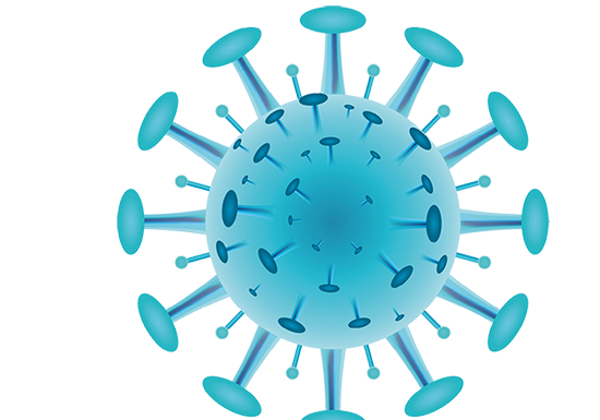 covid 19 coronavirus