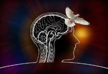 Ibm e Fondazione Meyer, un software per le malattie neurogenetiche dei bambini ibm meyer