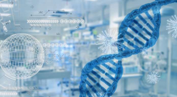 biotecnologie pixabay