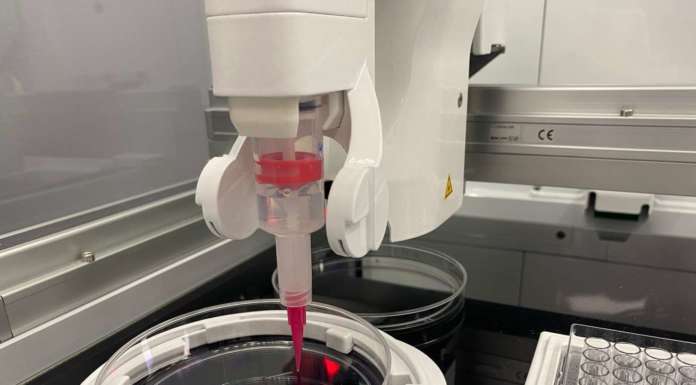 Bioprinting 3D Brinter