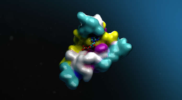 nvidia intelligenza artificiale