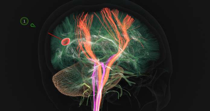 NVIDIA AtlasMeditech Atlas Meditech Nvidia