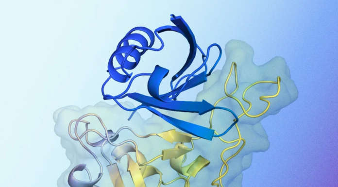 Google DeepMind AlphaProteo