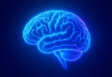 GE HealthCare acquisisce icometrix