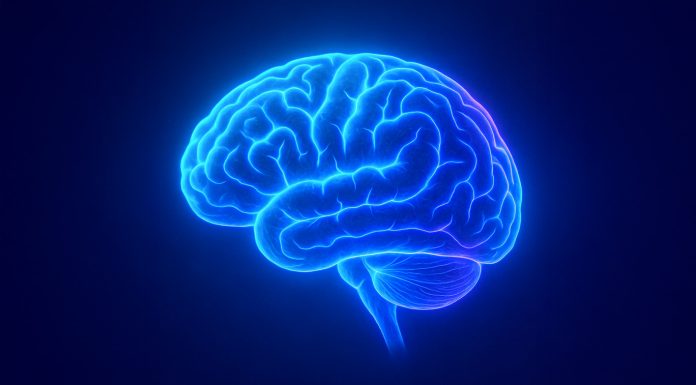 GE HealthCare acquisisce icometrix