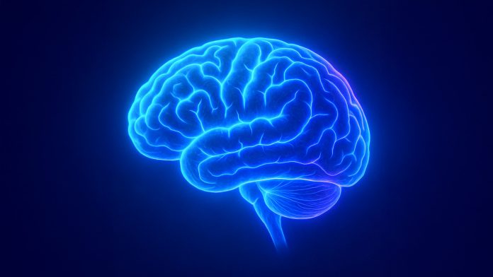 GE HealthCare acquisisce icometrix GE HealthCare acquisisce icometrix