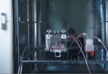 Meno test sugli animali grazie a nuovo intestino artificiale umano dell’Università di Pisa intestino