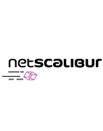 Cresce il fatturato di Netscalibur