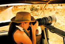 Apple aggiorna Safari