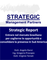 Entrare nel mercato brasiliano per coglierne le opportunità e consolidare la presenza in Sud America