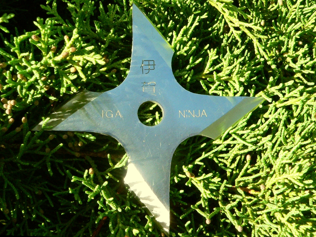 Shuriken 2015, i ninja attaccano Internet