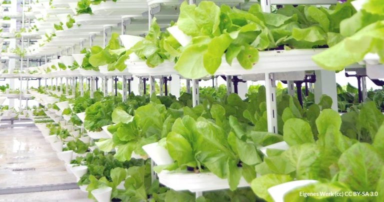 Smart farming: l’evoluzione tecnologica non ha stagioni