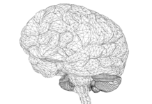 Intelligenza artificiale, nasce il laboratorio Ibm-Mit