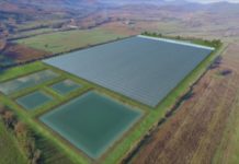 Agritech italiano fra sensori e idroponica