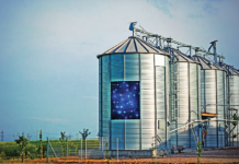 Sei progetti che spiegano l’IoT in agricoltura