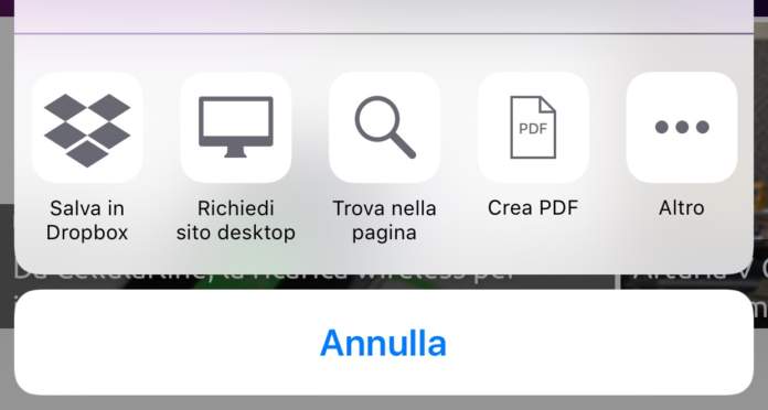 Safari di iOS Trova nella pagina