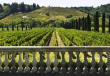 Come la viticoltura sta passando all’Internet of things Viticoltura