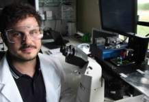 Come accelerare l’analisi di proteine con l’elettrocinetica