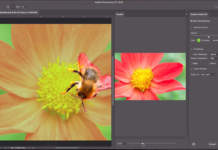 Adobe Creative Cloud