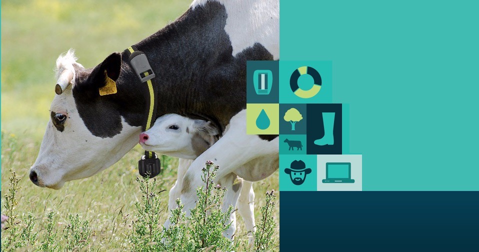 MSD to Acquire Antelliq