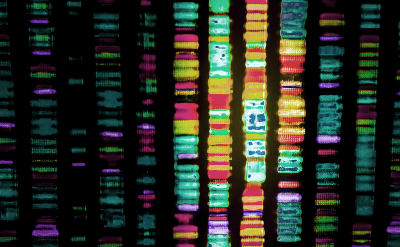 autenticazione biometrica Gartner
