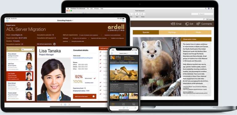 FileMaker 18