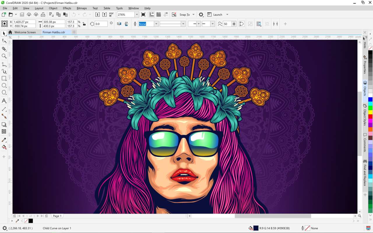 CorelDRAW Graphics Suite 2020