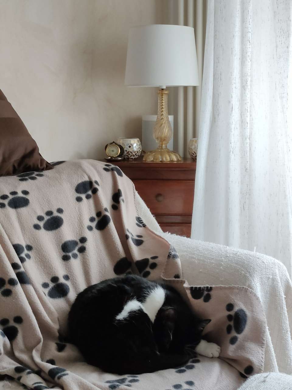 Realme x50 Pro gatto