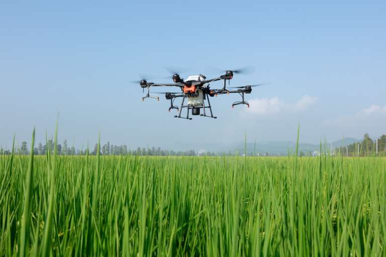 agricoltura