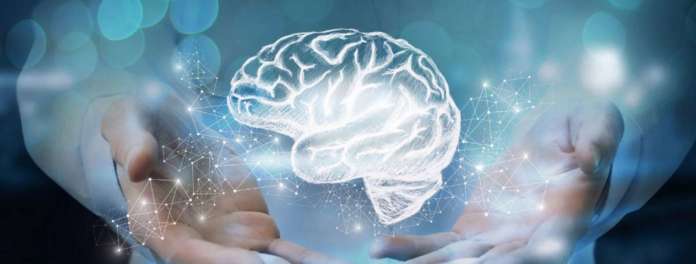 Software intelligence