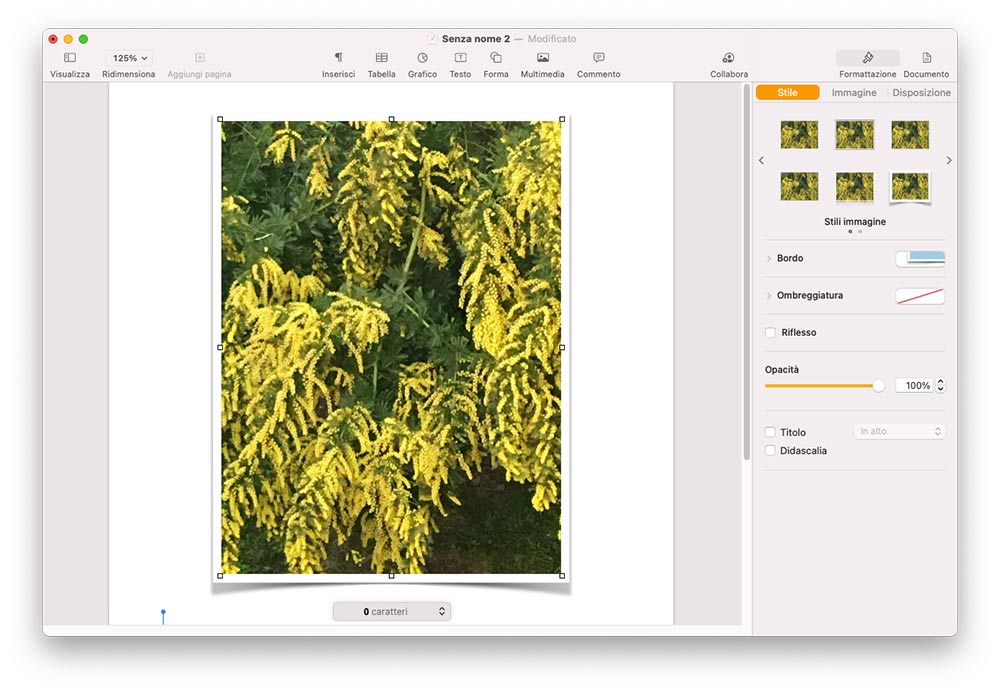 Fotocamera con Continuity Mac iPhone