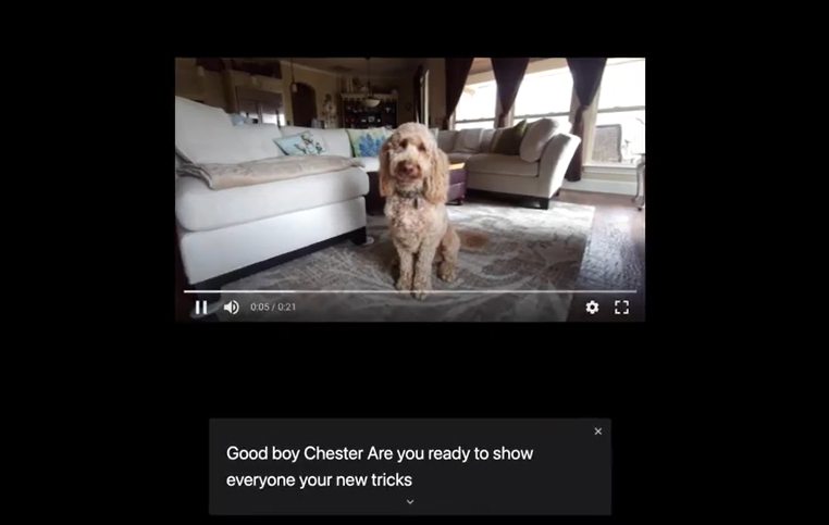 Google Chrome sottotitoli