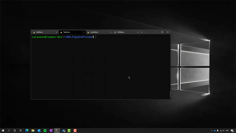 Windows Linux