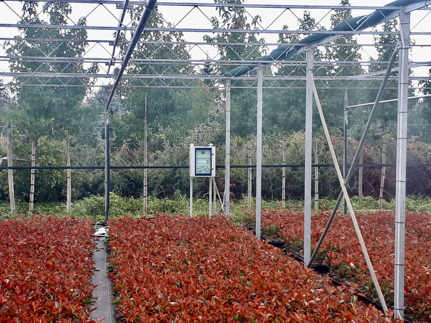 smart agricolture iot