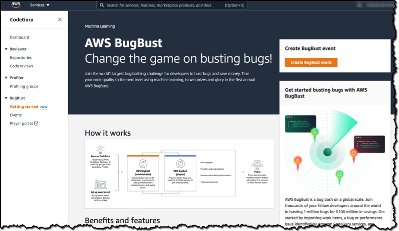 Aws BugBust