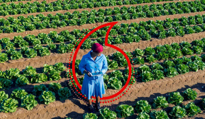 vodafone-mwc-2021 vodafone