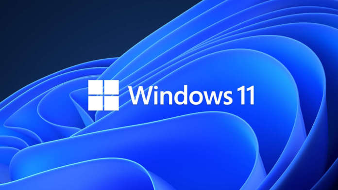 windows 11 windows 11
