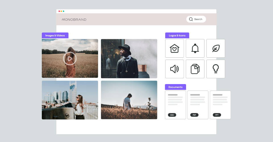 brand management Frontify