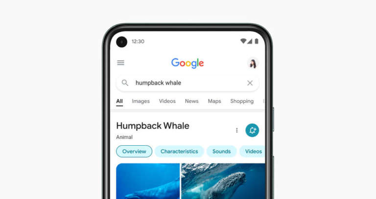 Google ricerca