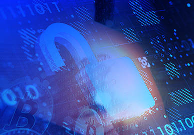 Cybersecurity Check Point Software