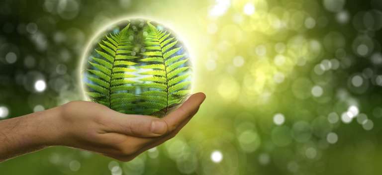 ecologia pixabay