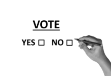 voto elettronico pixabay