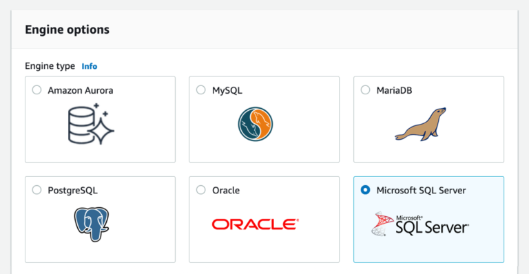 Amazon RDS Custom per SQL Server
