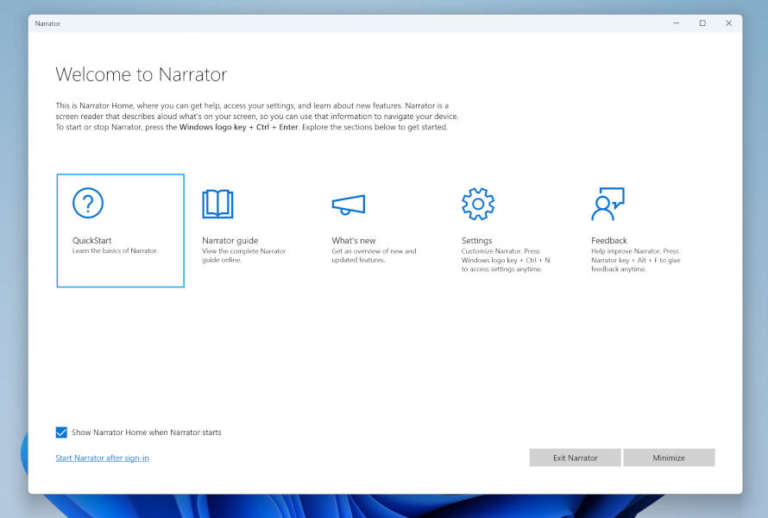 Windows 11